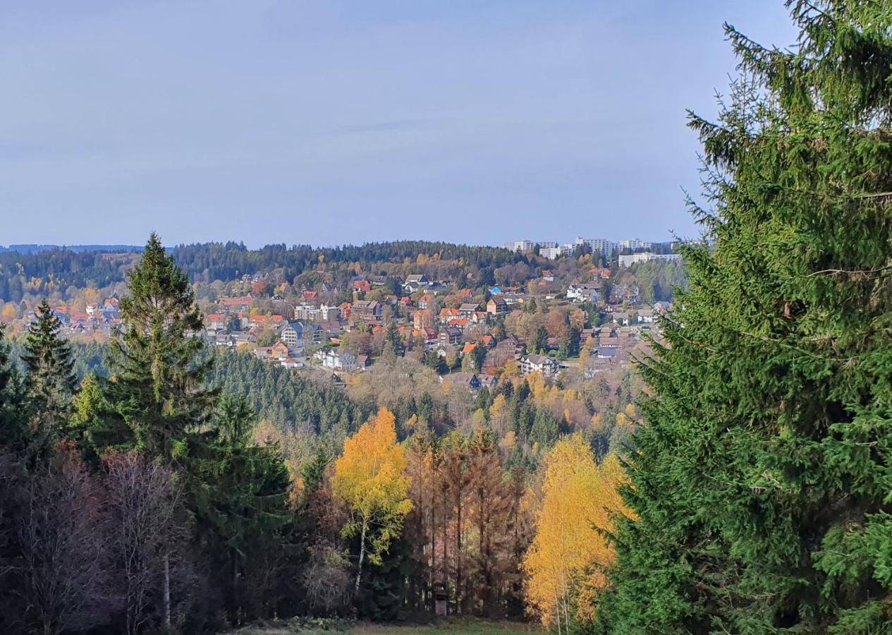 Erholung Pur Leilighet Goslar Eksteriør bilde